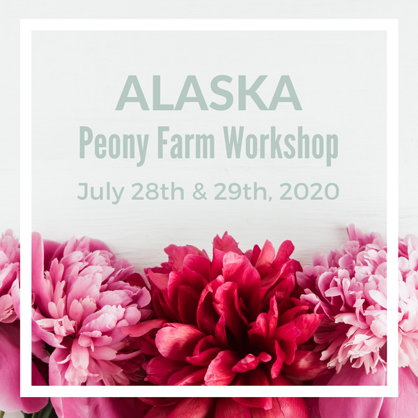 Alaska Peony Adventure, July 2020