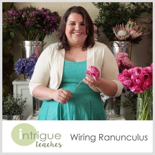 Wiring Ranunculus