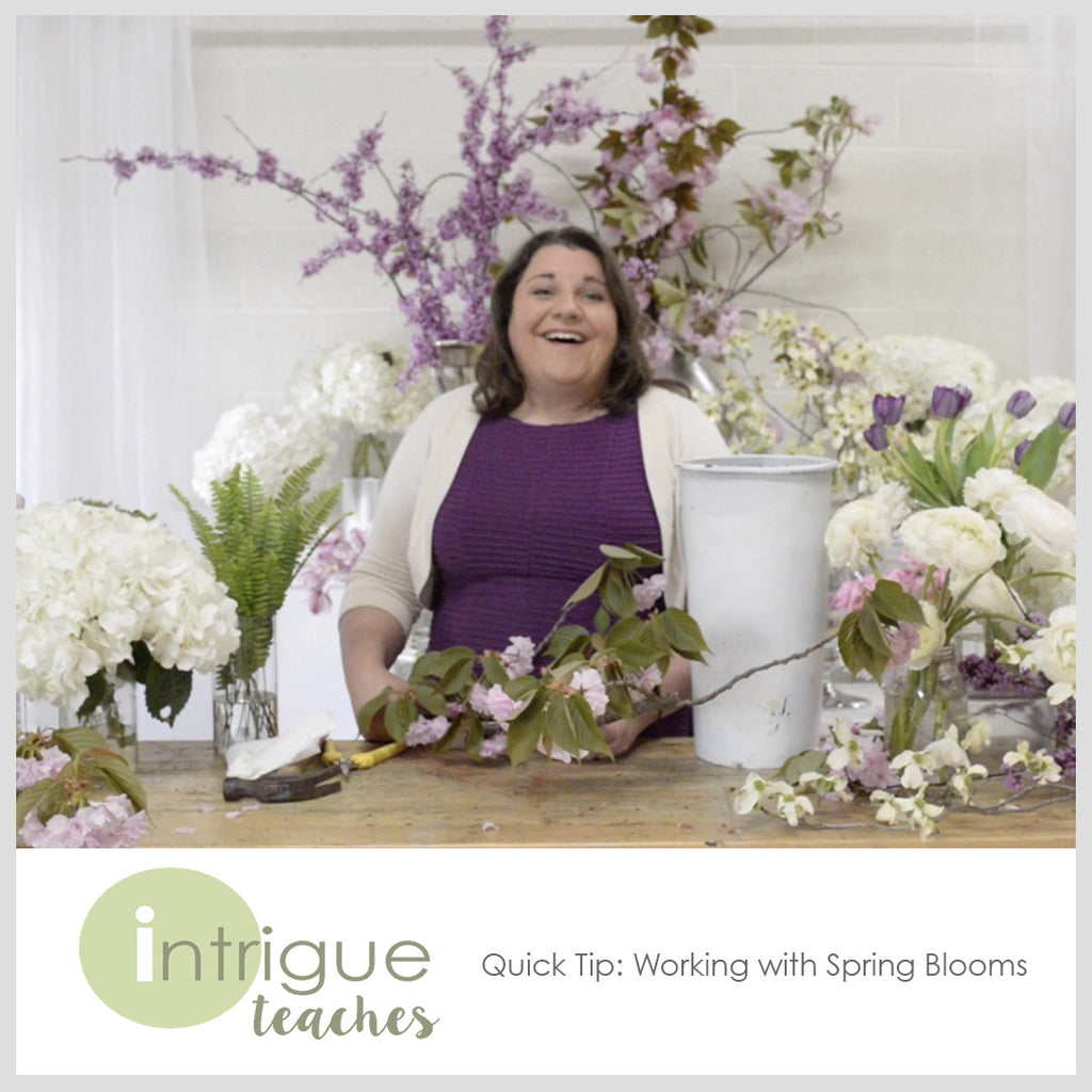 Working with Spring Blooming Branches