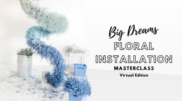 The BIG DREAMS: Virtual Installation Masterclass ($1000 off)