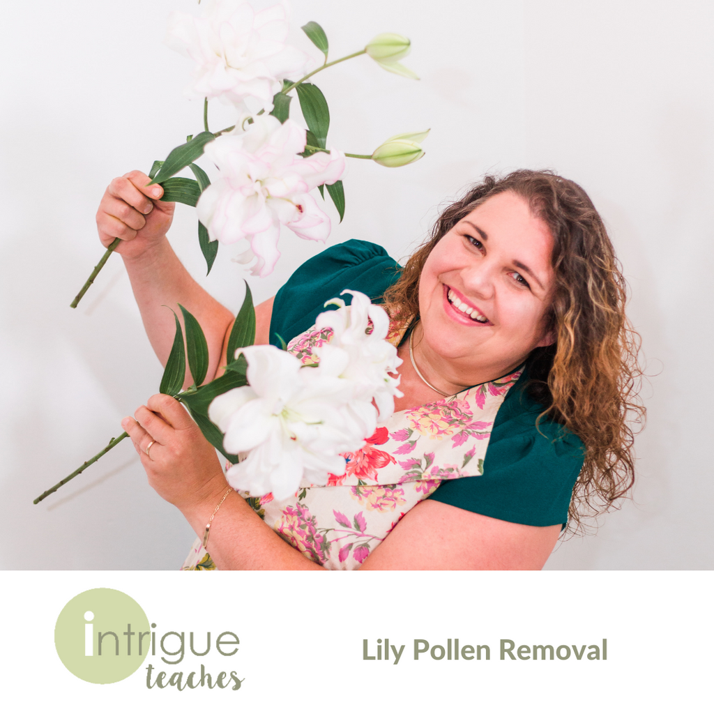 Lily Pollen Removal